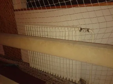 Topení